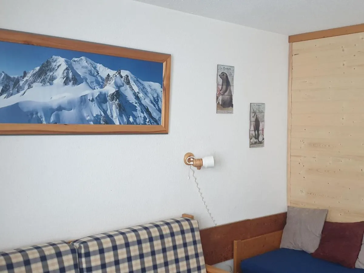 Apartment Studio Fonctionnel Au Pied Des Pistes Avec Vue Sur Le Mont Blanc - Fr-1-181-2616 La Plagne
